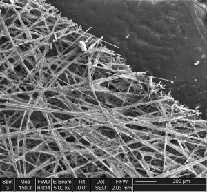 SEM-gas-diffusion-layer